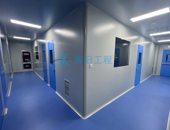 鎮江某勝源萬(wàn)級化妝品GMP無(wú)塵車(chē)間凈化工程